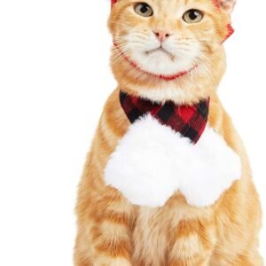 Merry Makings Mrs. Claus Cat Set