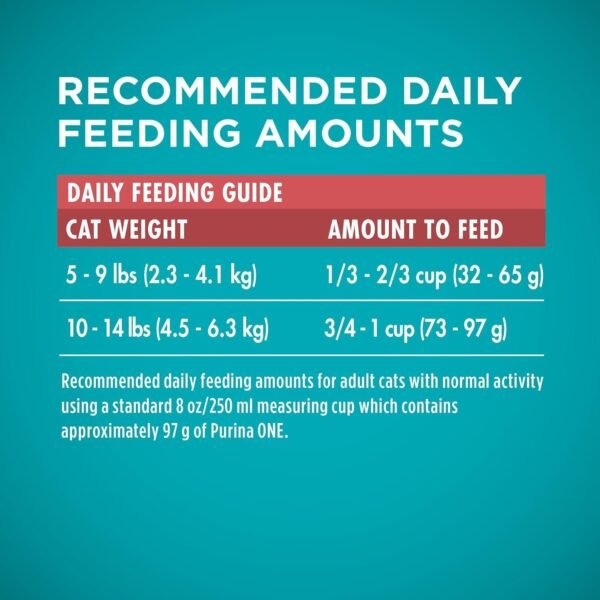Purina ONE Natural Dry Cat Food, Tender Selects Blend With Real Salmon - 7 lb. Bag - Image 6