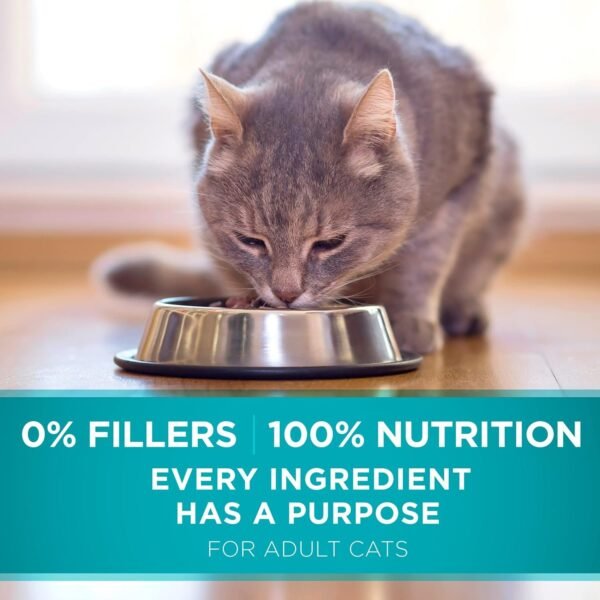 Purina ONE Natural Dry Cat Food, Tender Selects Blend With Real Salmon - 7 lb. Bag - Image 8