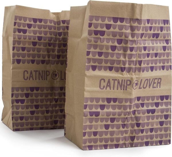 2 Count Catnip Caves Catnip Infused Bag Cat Toys - Brown, 2 Count