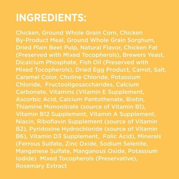 IAMS Smart Puppy Chicken & Whole Grains Flavor Dry Dog Food for Puppy, 15 lb. Bag - Image 3